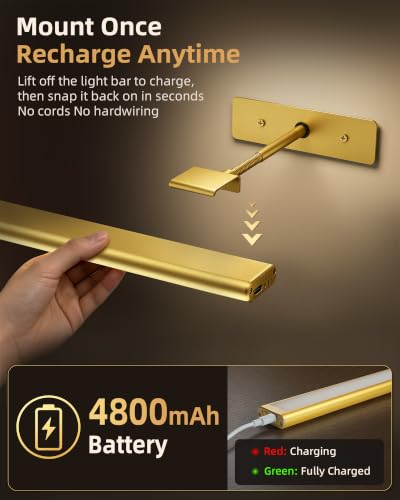 EZVALO Picture Light for Wall, 4800mAh Rechargeable Wireless Remote, 16‘’ Dimmable Magnetic LED Art Display Light with 3 Color Temperatures, for Gallery, Living Room, Bedroom, Hallway (Gold)