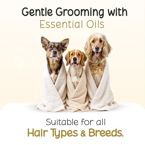 Image of Tell Tails Paw Cream for Dogs - 50gm | Hydrates & Conditions Paws | Heals Cracked,Rough Paws | Enriched with Vitamin E, Candelilla Wax, Sea Buckthorn Oil & Mint Oil | Restores Moisture & Adds Shine