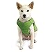 Gooby Padded Vest Dog Jacket - Solid Green, Medium - Warm Zip Up Vest Fleece Jacket with Dual D Ring Leash Water Resistant for Small to Medium Dogs