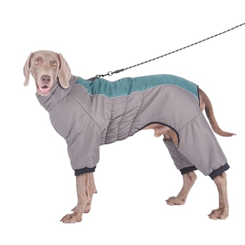 寒い天候のペットの暖かいコートミディアム、冬用の犬用スノージャケットベスト、ジッパー付きの反射防水犬用ジャケット、寒い天候の屋外活動用のハーネスホール,グリーン,6XL