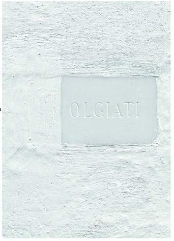 Dado: Built and Inhabited by Rudolf Olgiati and Valerio Olgiati