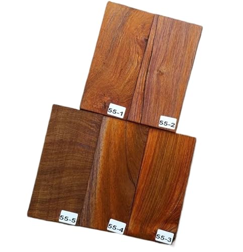 M^[p؍ 5̃M^[wbhXgbNxjAwbhv[gV[Yޗ(55)