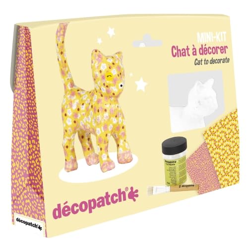 Lot de 5 Boîte créative, mini kit Chat
