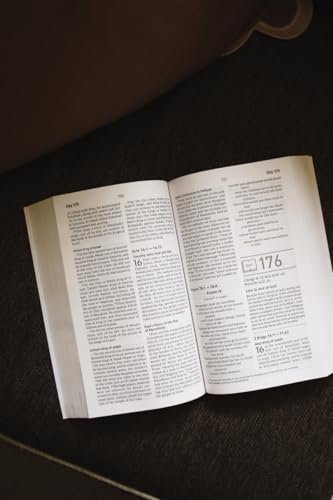 Image of NIV, Daily Scripture, Paperback, White /Sage, Comfort Print: 365 Days to Read Through the Whole Bible in a Year