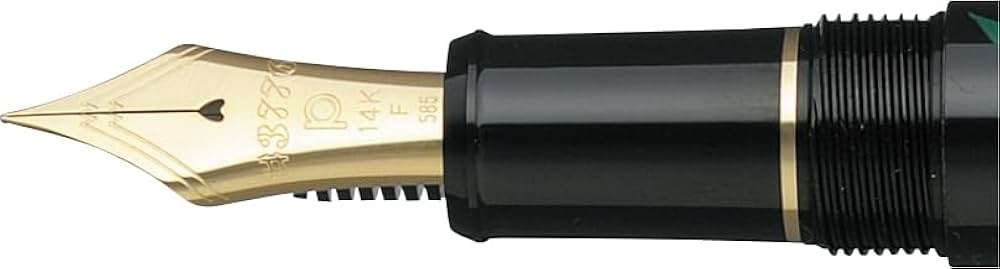 Amazon | プラチナ万年筆 万年筆 M 中字 3776 センチュリー 加賀