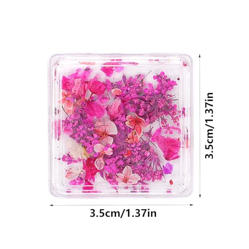 4Boxes Dried Flowers for Nails Natural Mini Real Dry Flowers Nail Art Accessories Kits DIY Mini Mix Flower Petals Nail Stickers (Design B)