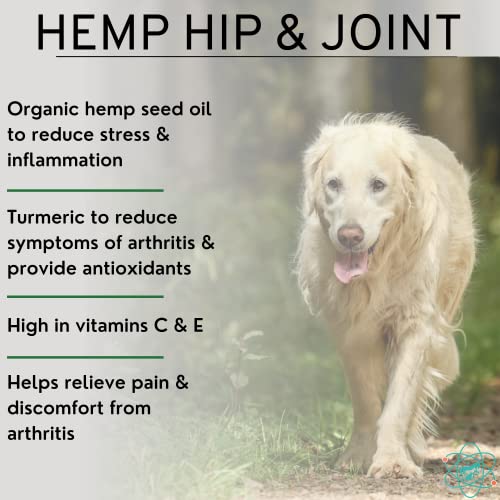 Pet Care Sciences Approx 120 Hemp Chews For Dogs - Dog Hip And Joint Supplement - Pain Relief For Dogs - Senior Old Dog Vitamins And Supplements - Hemp Calming Treats For Dogs #TOP1