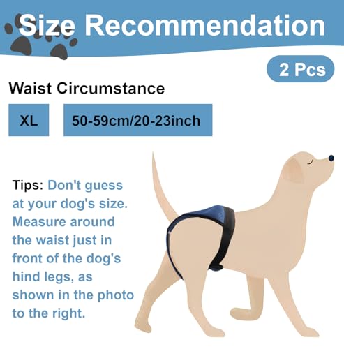 2er Pack Läufigkeitshose für Hündinnen, Wiederverwendbare Höschen für Hunde Läufigkeit mit 6 Damenbinden, Waschbare Verstellbare Hundehöschen Läufigkeit (Taillenumfang von 50-59 cm)