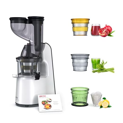 Imetec Succovivo Pro 2000, Estrattore di Succo, Spremitura a Freddo 48 Giri/Min, 100% Vitamine, Filtro per Succhi, Filtro Succhi con Fibre, Cestello per Sorbetti, Ricettario