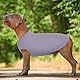 Hjumarayan Hundepullover Mittelgroße Hunde - Hundeshirt Dünn Hunde Pullover Sonnenschutz Tshirt Elastisch Hundepulli Gestreifte Shirt Pullis für Dackel Französische Bulldogge (Lila M)