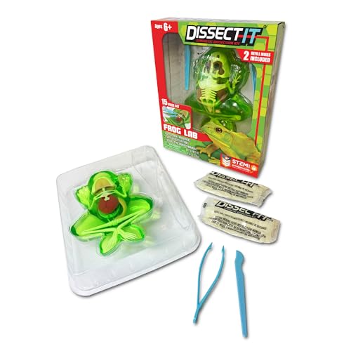 Image of Dissect-It, Standard Frog Dissection Kit, STEM Toys for Kids, Ages 6+ | Animal Anatomy Learning, Explore realistic frog organs and a complete skeleton while building biology and STEM skills.