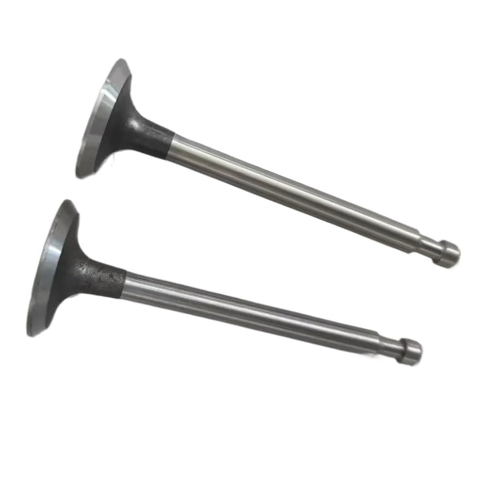 Pljyocdo One Color Generators Intake Valves Fit For Ey28c Ey28b Ey28 Rgx3500 Rgx3510