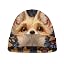 Cute Fox H
