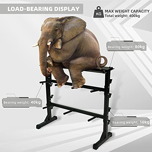 CCLIFE Rastrelliera Manubri Porta Dischi Pesi Manubri Supporto bilanciere per Palestra Casa Carico Massimo 300-400 kg-ZERRO