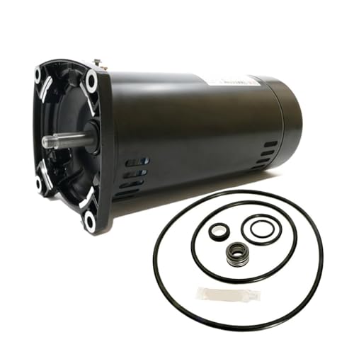 Puri Tech Replacement Motor Kit for Sta-Rite Dura-Glas 1HP P4RA6E-186L AO Smith USQ1102 with GO-KIT-38