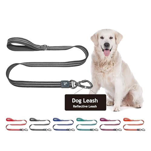 Kruz PET Reflective Heavy Duty Click & Lock Hook Leash