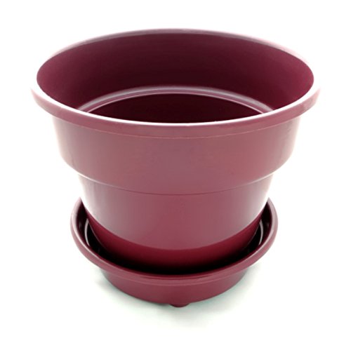 8" Self Watering + Self Aerating Unique Drainage Deep Reservoir Round Planter Pot