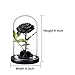 Preserved Roses Black Roses Handmade Real Rose in Glass Dome, Preserved Roses Never Withered Romantic Gifts for Her, Mother's Day, Birthday Gifts for Women (9 inch, Black)