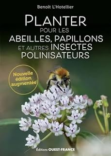 Planter pour les abeilles, papillons et autres insectes pollinisateurs