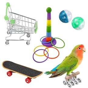 鳥用おもちゃ - Amazon.co.jp