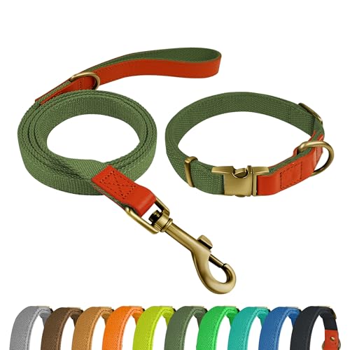 Qianruida Conjunto de Collar y Correa para Perros Pequeños, Medianos y Grandes - Verde Militar, M