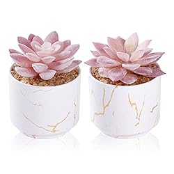 Home office ideas for women Cute home office ideas plants