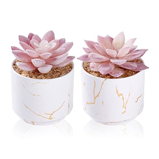 ZENIDA Plantas artificiales y suculentas en 2 macetas de cerámica blanca, pequeñas plantas falsas para decoración de oficina y escritorio, baño, dormitorio, estantes para mujer