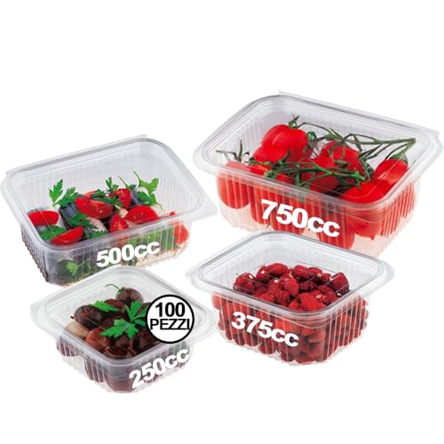 GM 100 Vaschette Quadrate Trasparenti con Coperchio Misura 250cc, Contenitori Ermetici Per Alimenti in PET, Contenitore Ermetico Per Alimenti MONOUSO, Contenitore Pranzo - Made In Italy