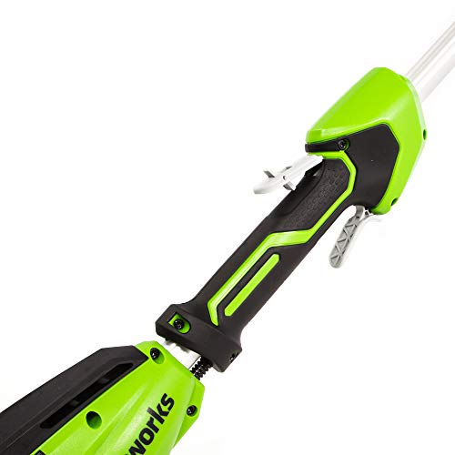 Greenworks 8-Inch 40V Cordless Polesaw, 2.0Ah Battery and Charger Included PS40B210
