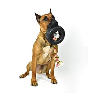  Mammoth-Pet-Products-43735018-Tirebiter-II-with-Rope-Dog-Toy-XL