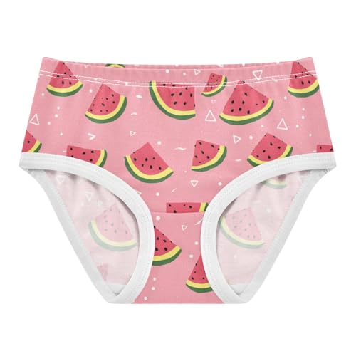 Wusikd Cute Watermelon Pink Girls' Underwear Cotton Girls Briefs Soft Toddler Underwear 2T