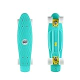 DINBIN Complete Highly Flexible Plastic Cruiser Board Mini 22 Inch Skateboards for Beginners or...