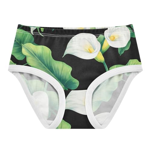 Toddler Underwear Floral 2t Cotton Cute Panties Girl Cartoon Briefs Underpants White Calla Lilies Green Leaves Black