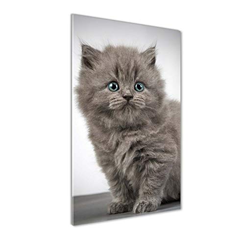 Impression sur verre 60x120 cm chat britannique deco murale - 2