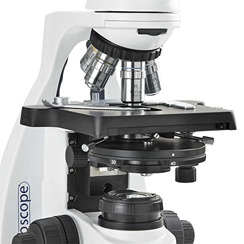 Image of bScope Trinocular Compound Microscope, HWF 10x /20mm Eyepieces and Quintuple Nosepiece with Plan Phase PLPHI 10 /20 /S40 /S100x Oil Infinity Corrected Objectives Globe Scientific | Euromex