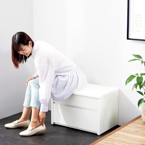 fBmX ʔ ֎[ ֎G ω׏d100kggݗĕsv [ɕtx` o^CvE60cms41cm