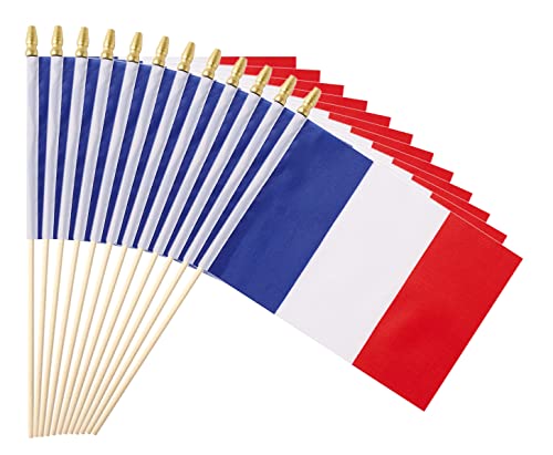 Ckexin 25Pack Small France Flag Handheld Mini French Flag on Stick 5x8 Inch