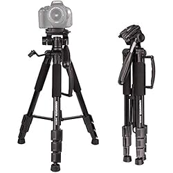 Tripode Compacto Nikon Trípode para Cámara - CAMBOFOTO 140cm Trípode Compacto y Ligero con 3 Vías de Cabeza Giratoria y Placa de Liberación Rápida para DSLR Canon Nikon y Teléfono Inteligente …