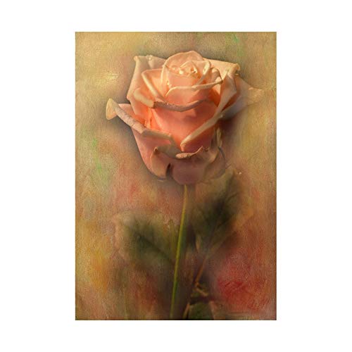 Wee Blue Coo Photo Dusty Pink Rose Vintage Grunge Flower Wall Art Print