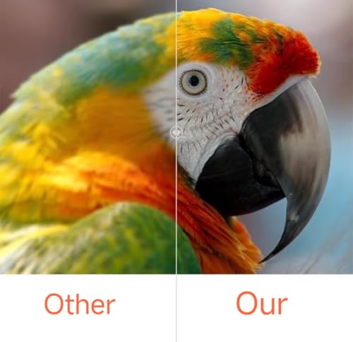 CJD ET-LAV400 Replacement Lamp with housing for Panasonic PT-VX610/PT-VX615N/PT-VX680/PT-VZ470/PT-VZ570/PT-VZ570N/PT-VZ575N/PT-VZ575NU/PT-VZ580/PT-VZ580U/PT-VZ585N/PT-Z575N