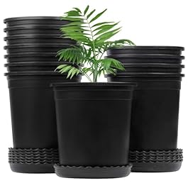 1 Gallon Nursery Pots...