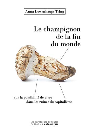 Télécharger Le champignon de la fin du monde Gratuit