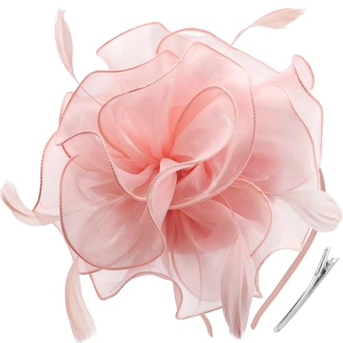 Image of DRESHOW Fascinators Hat Tea Party Headwear Ribbons Feathers on a Headband and a Clip for Women