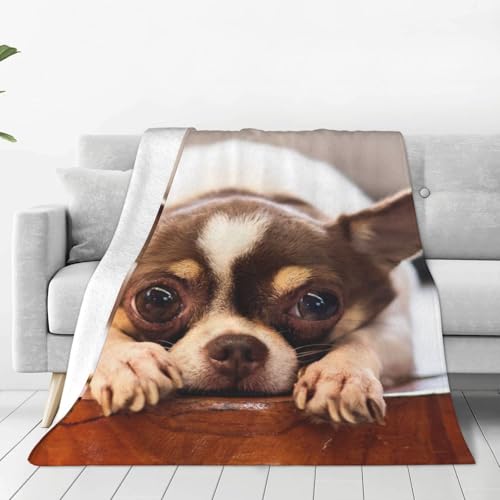 ѕz 킢 `  Aj y uPbg tl 􂦂 ÓdCh~ g _炩 ӂӂ lGKp 125cm×150cm