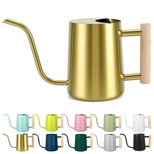 Image of Watering Can Indoor Plants, 35oz Small Stainless Steel Metal Watering Can Modern Decorative Watering Pot with Long Spout for Indoor House Plant Bonsai Garden Flowers (Gold)