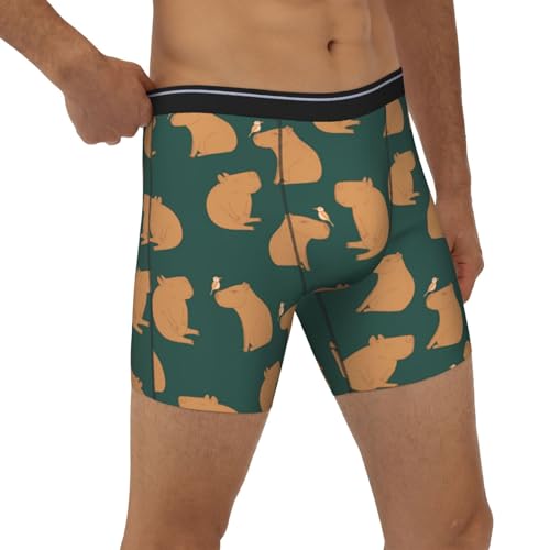 Mens Underwear - Birds Capybaras Boxer Briefs for Men Pack, Mens Boxer Briefs3