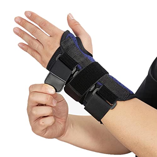 T|[^[ Œ  MuX Œ ی ֐߃T|[^[ 肭 T|[^[  Ă ֐ v[g bVf (, )