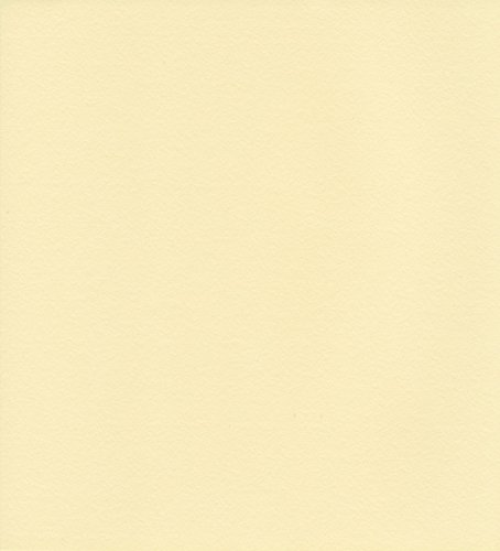 エスケント ケント紙 スターカラー 八切 バニラ 100枚 5769008