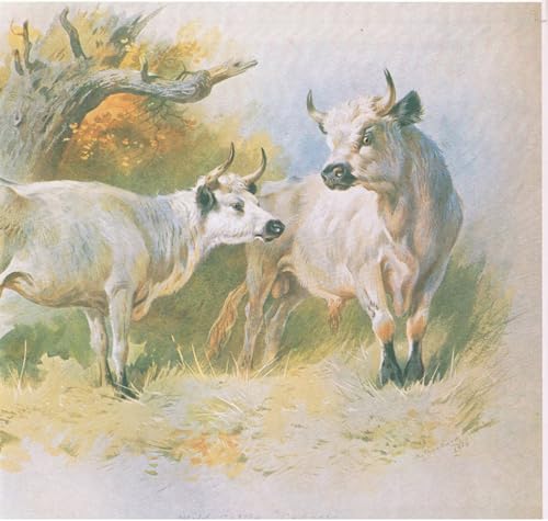 Toile murale abstraite Archibald Thorburn reproduction d'art haut de gamme