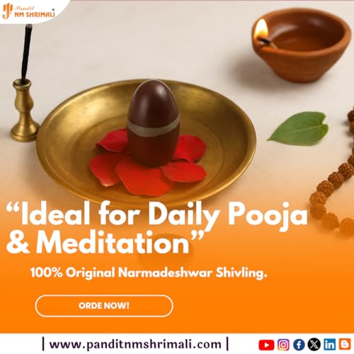Image of PANDIT NM SHRIMALI Original 4 Inch Narmadeshwar Stone Shivling | Natural Banalinga Lingam for Puja, Vastu, and Meditation | Holy Stone from Narmada River